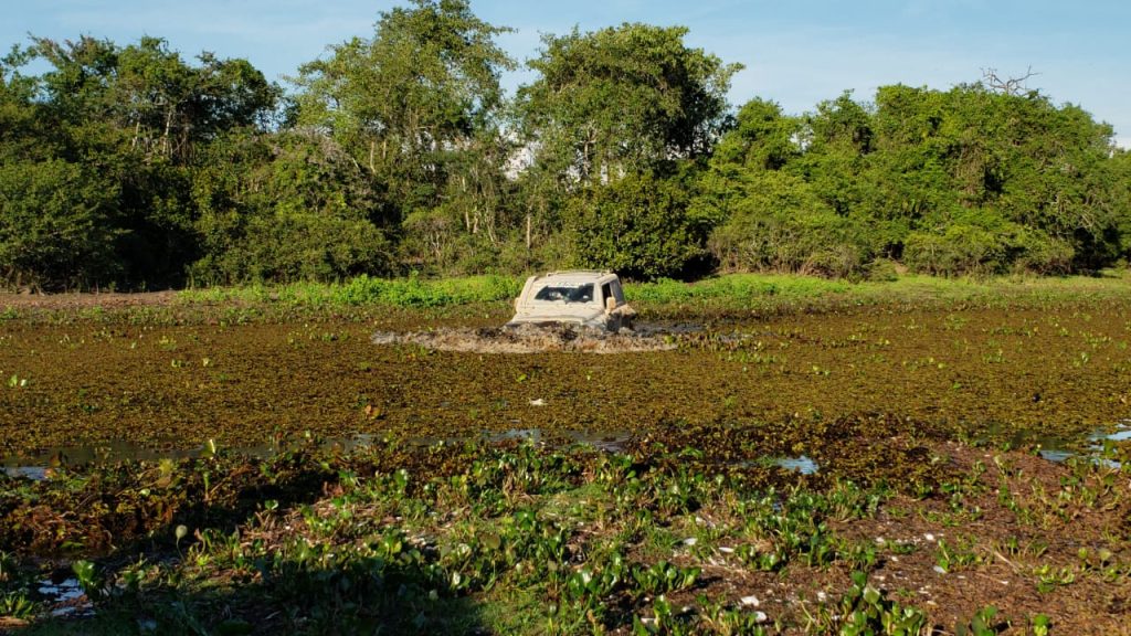 21ª Expedicao Pantanal