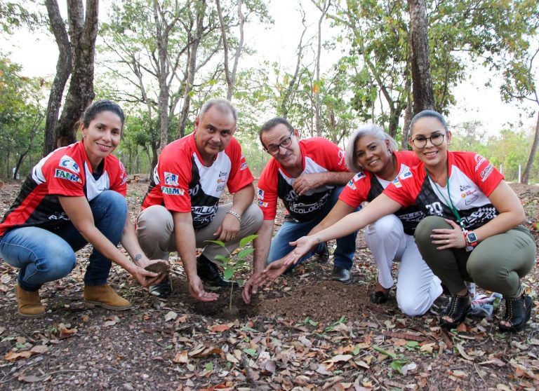 Pit-Stop com Juvam distribuirá mudas de árvores nativas
